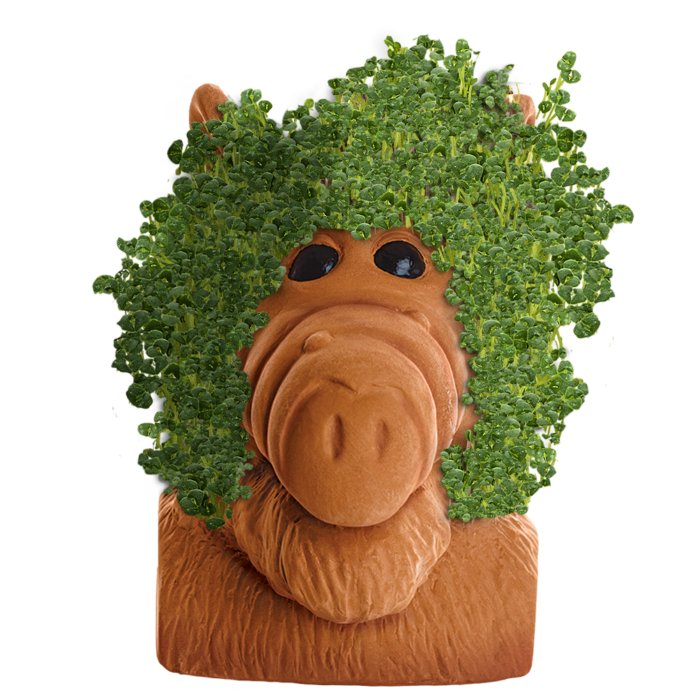Alternative view of Alf Chia Pet