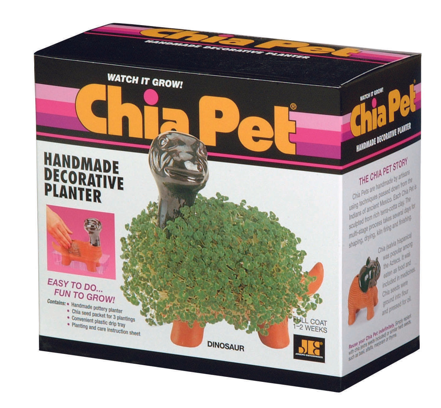 Classic Dinosaur Chia Pet - Image 7