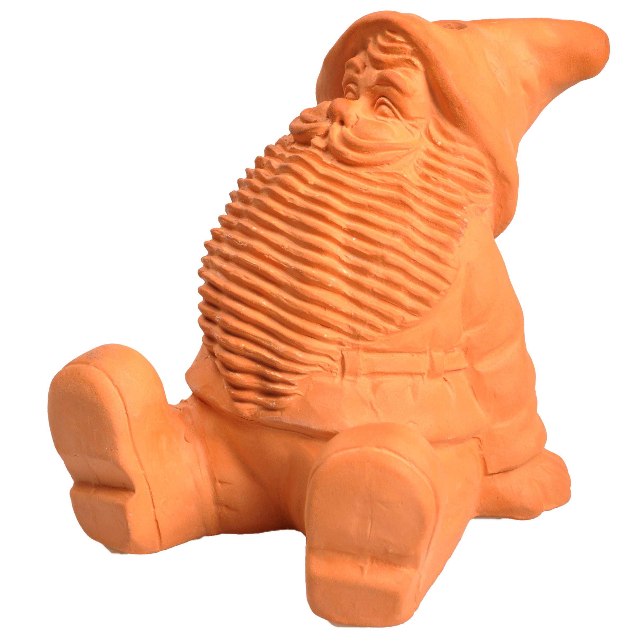 Classic Gnome Chia Pet - Image 3