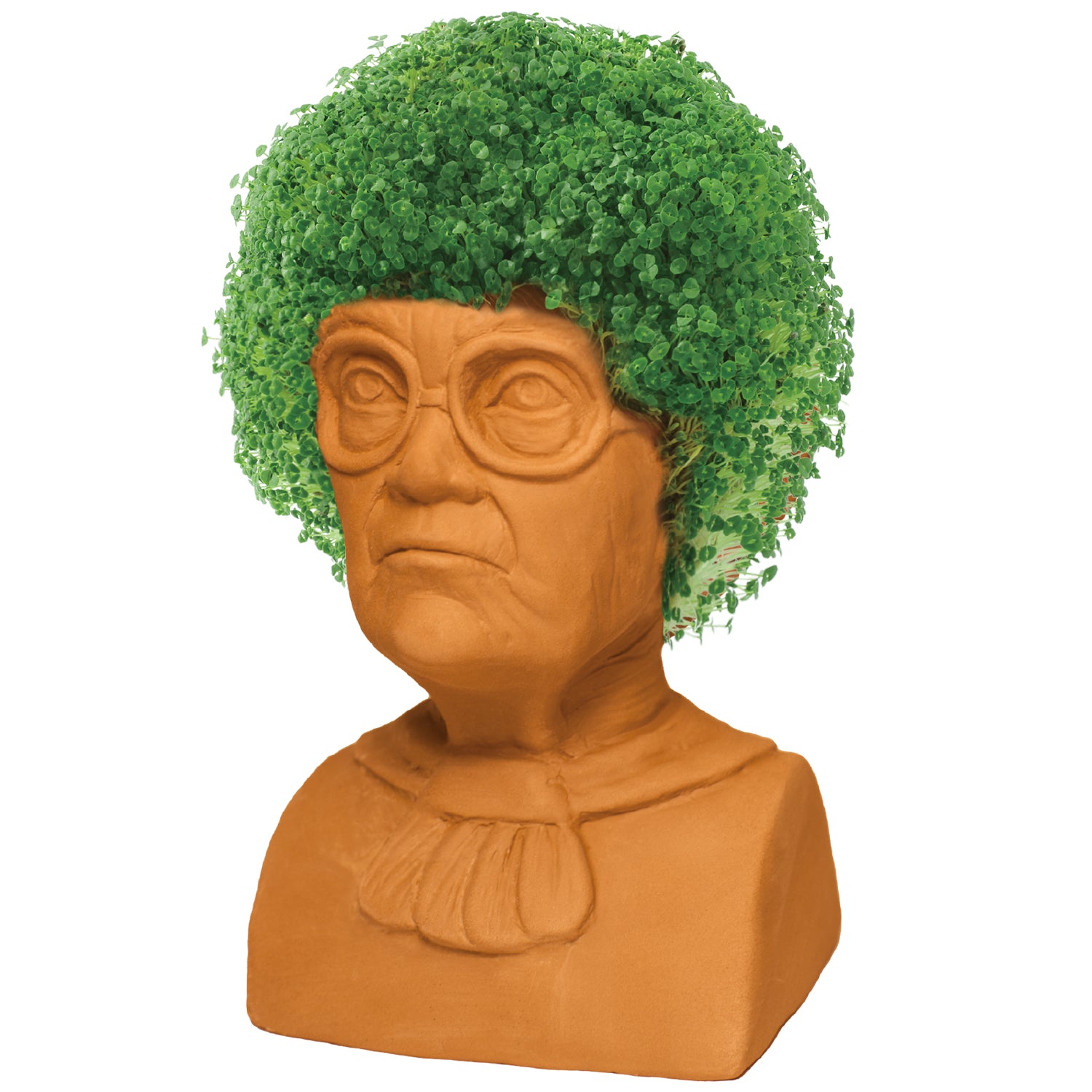 The Golden Girls Sophia Chia Pet