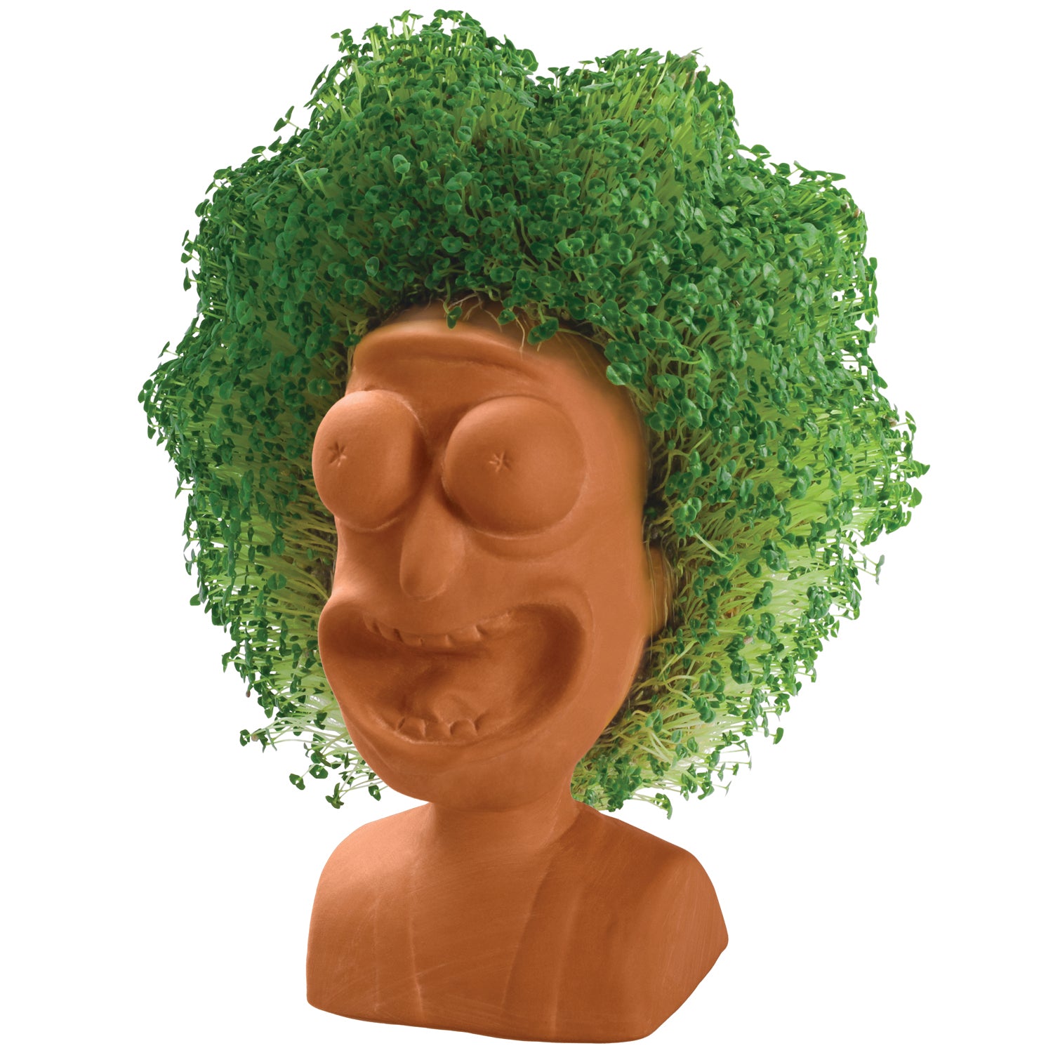 Rick and Morty Chia Pet Rick