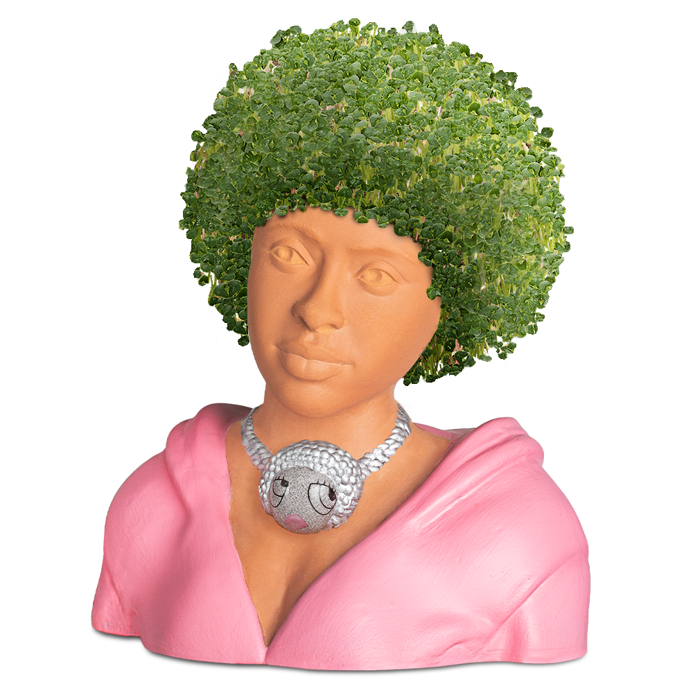 Ice Spice Chia Pet