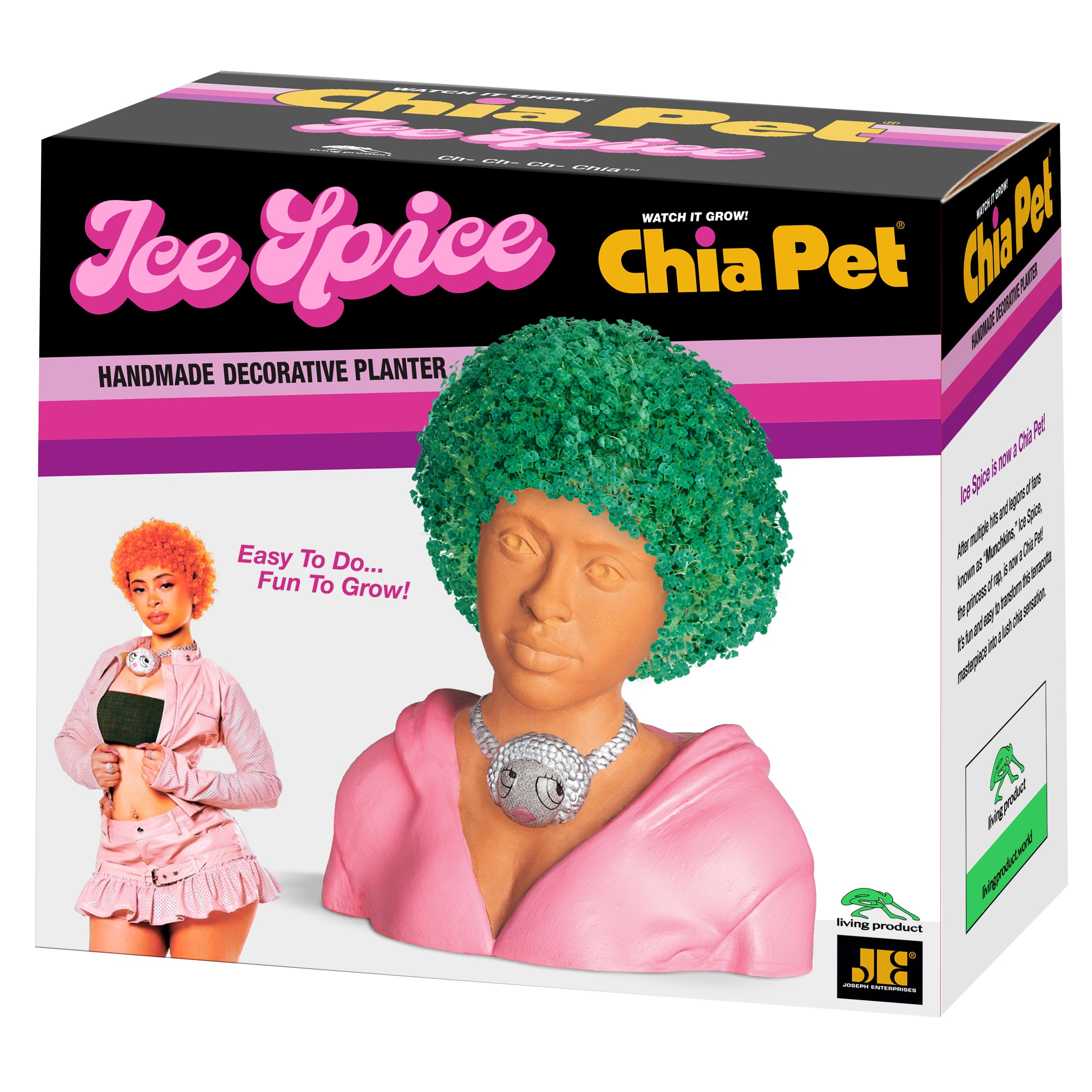Ice Spice Chia Pet - Image 6