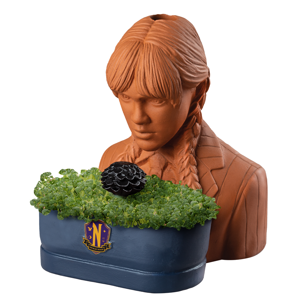 Addams Family Wednesday Chia Pet - Image 3