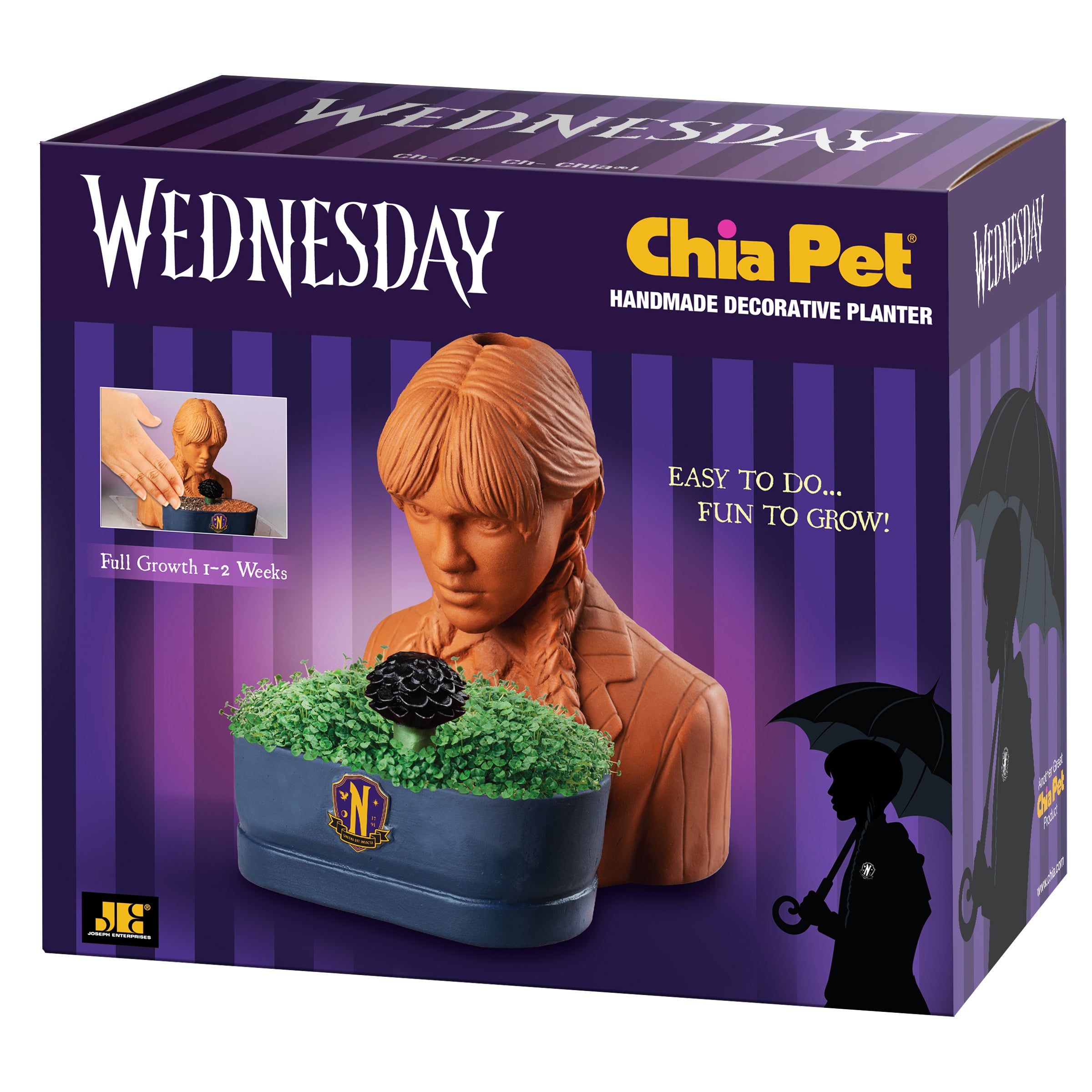 Addams Family Wednesday Chia Pet - Image 7