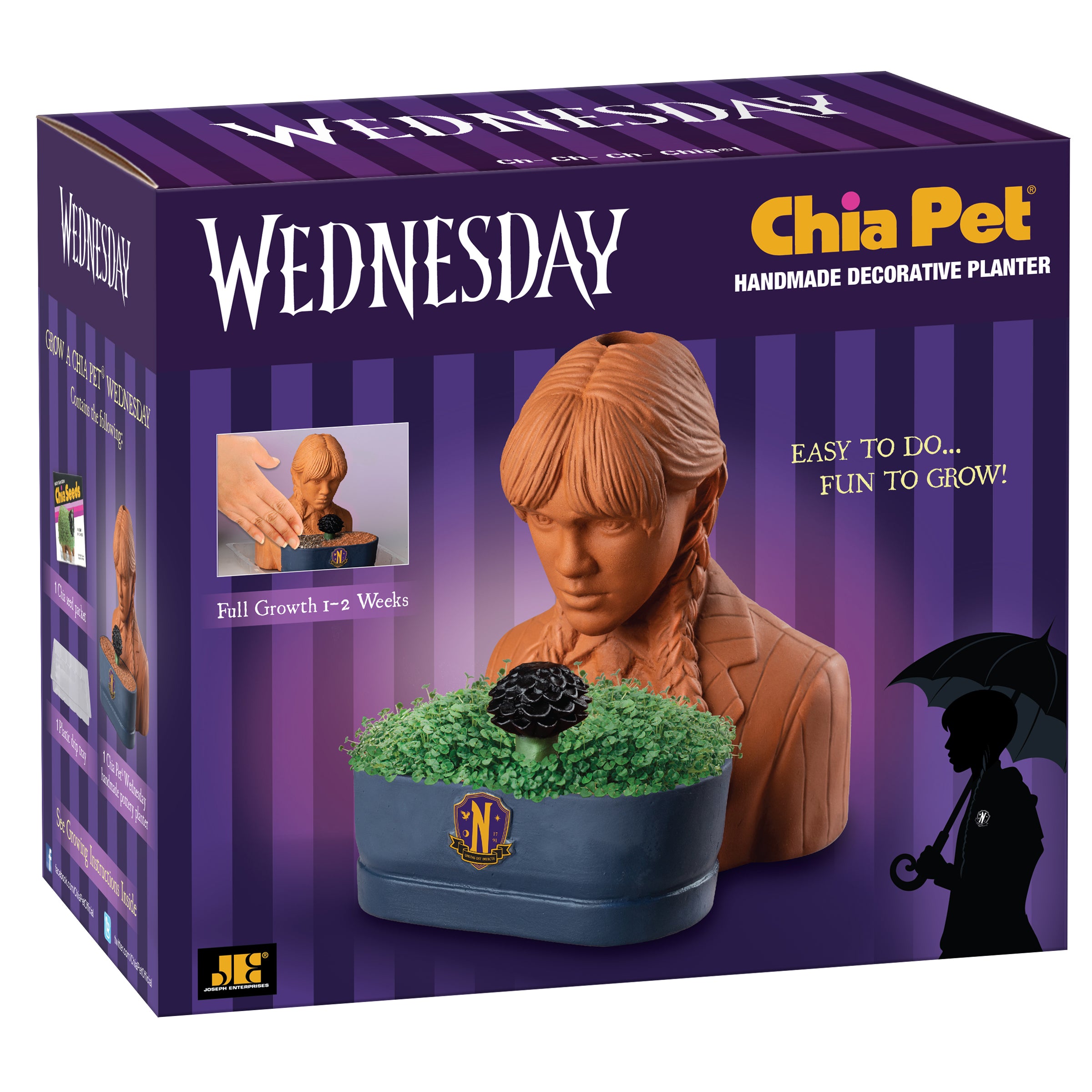 Addams Family Wednesday Chia Pet - Image 6