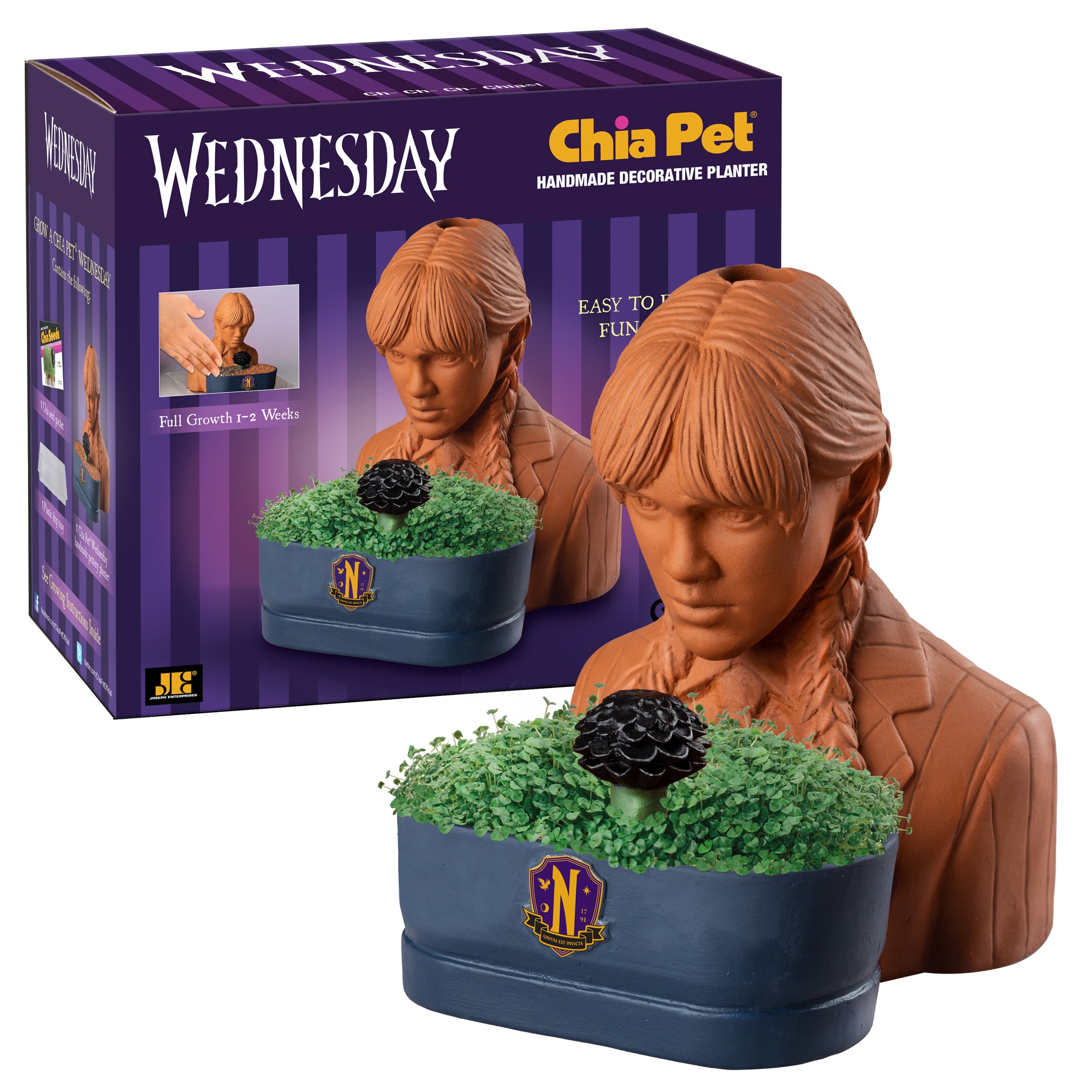 Addams Family Wednesday Chia Pet - Image 4