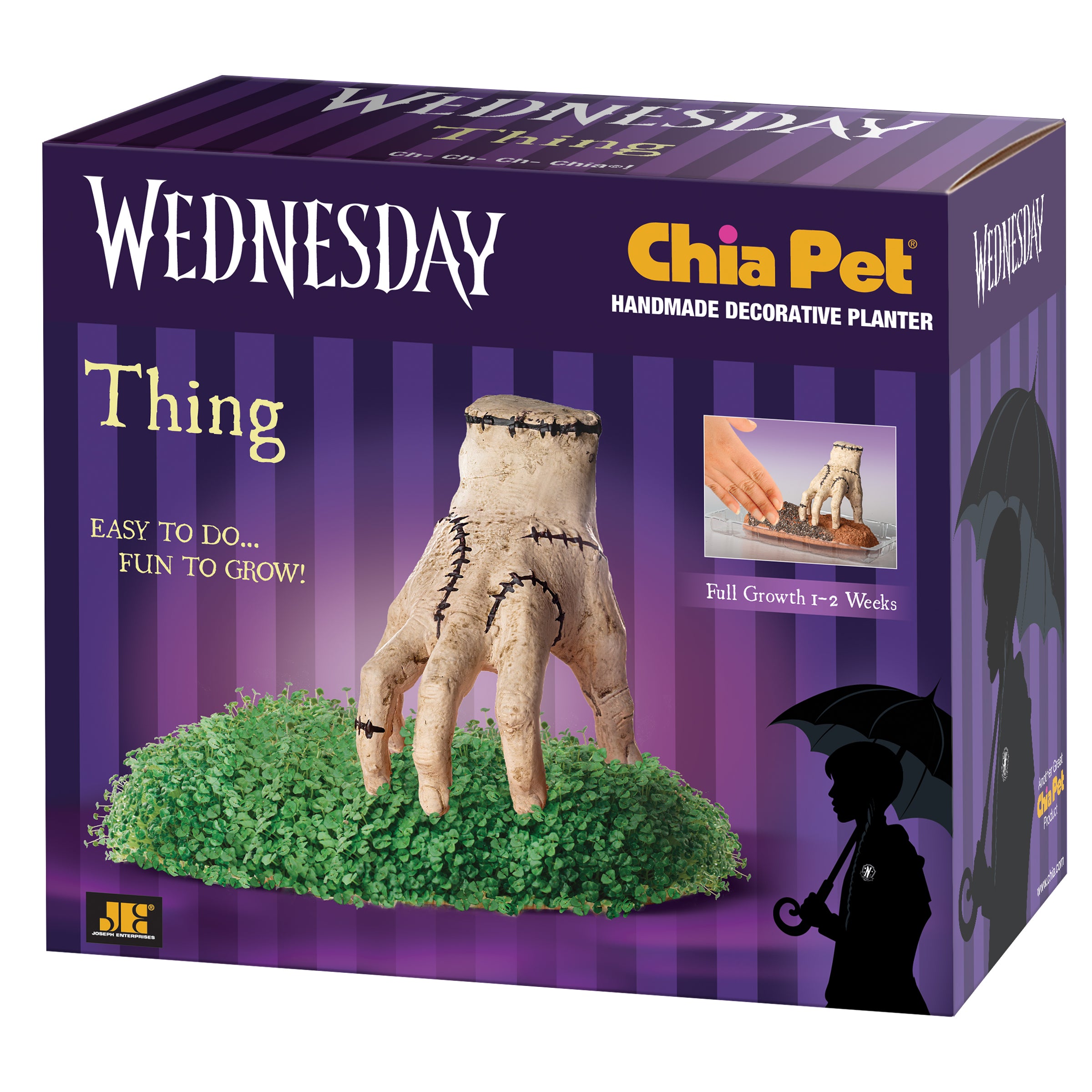 Addams Family Thing Chia Pet - Image 7