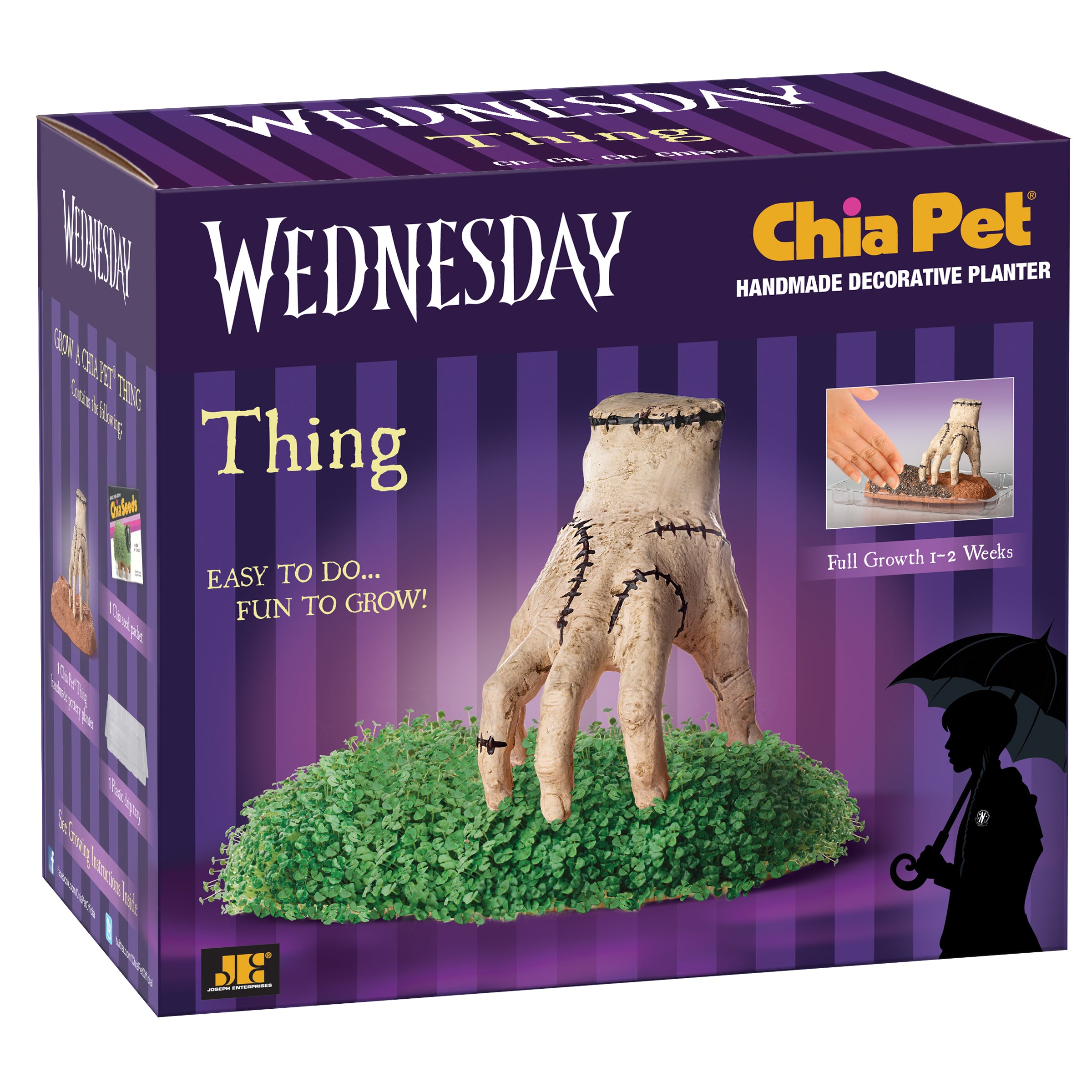 Addams Family Thing Chia Pet - Image 6