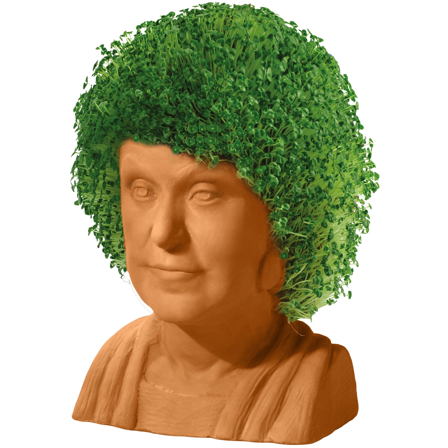 The Golden Girls Dorothy Chia Pet
