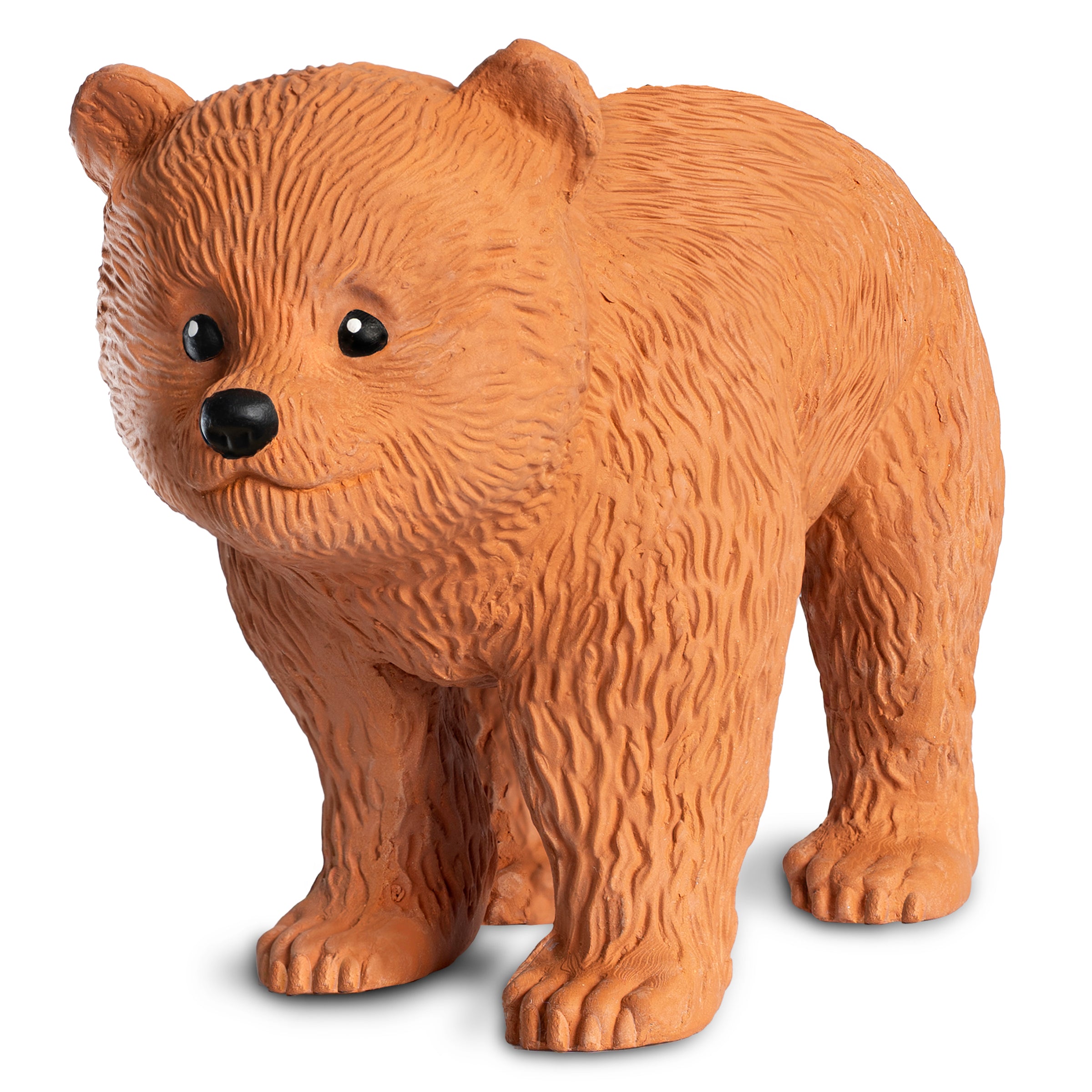 Alternative view of Bear Cub Chia Pet