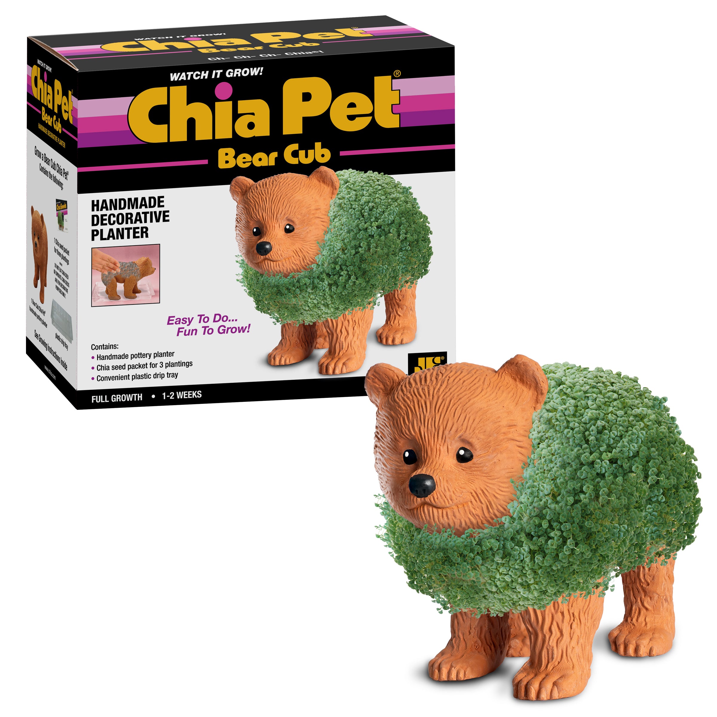 Bear Cub Chia Pet - Image 5