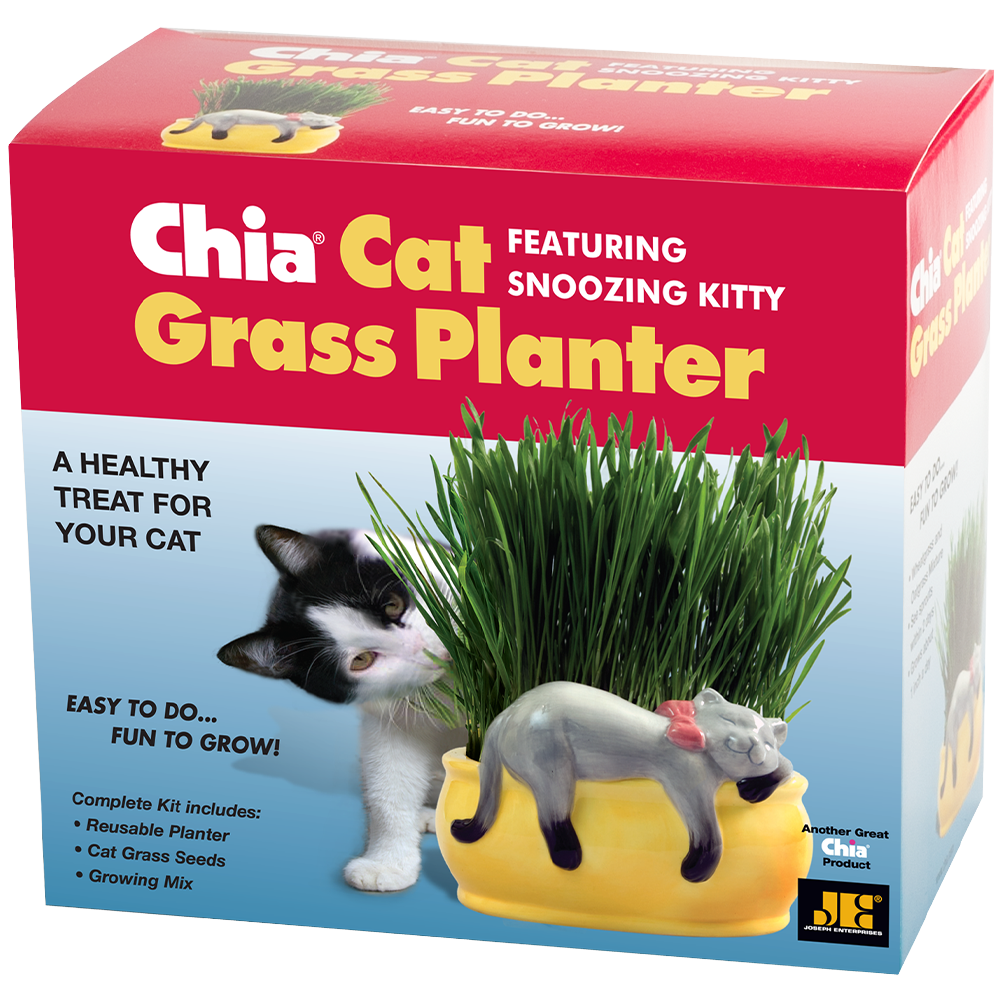 Snoozing Kitty Chia Cat Grass Planter - Image 6