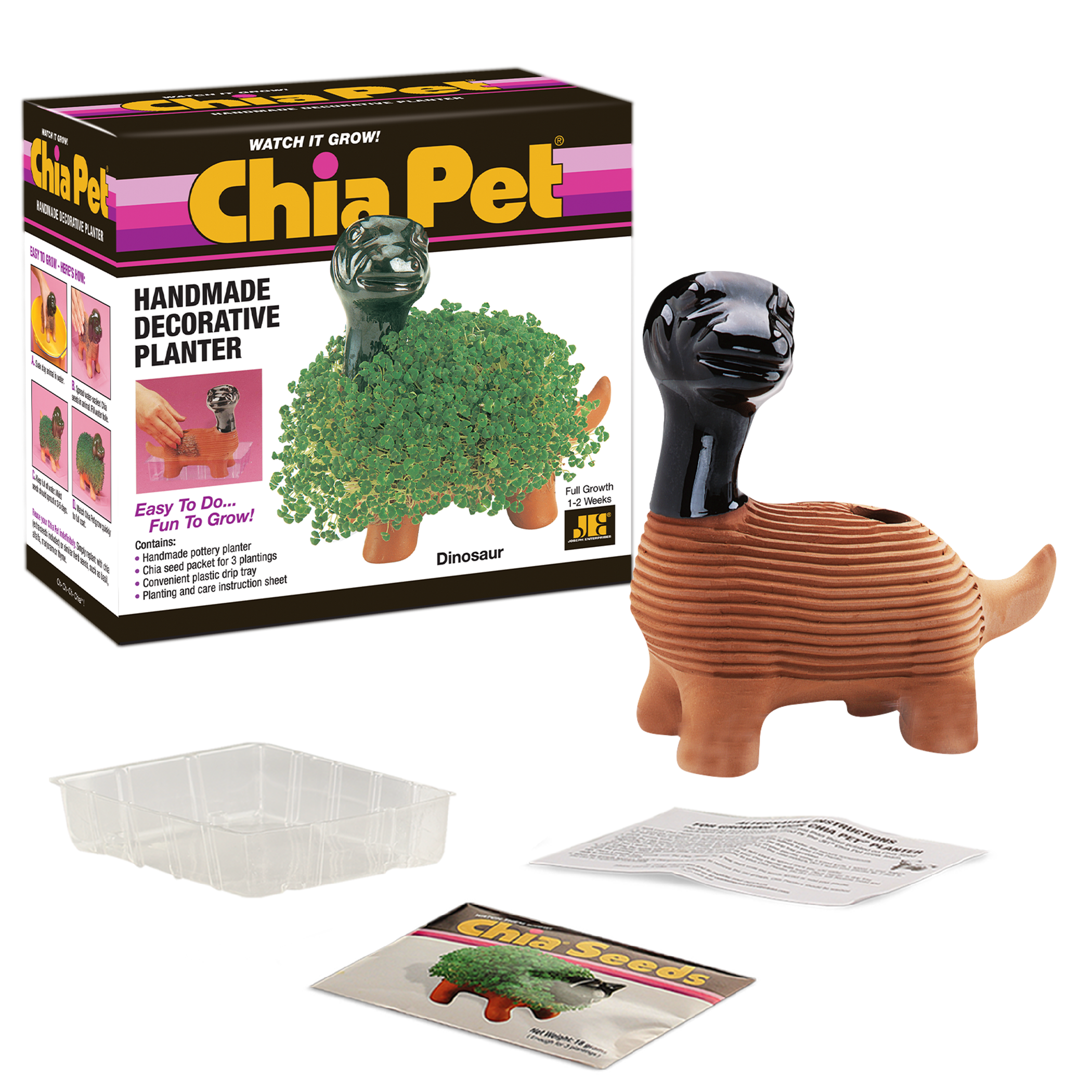 Classic Dinosaur Chia Pet - Image 5