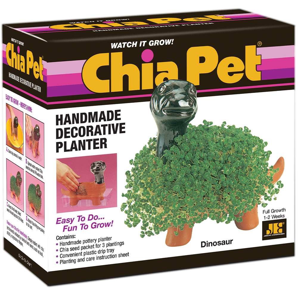 Classic Dinosaur Chia Pet - Image 6