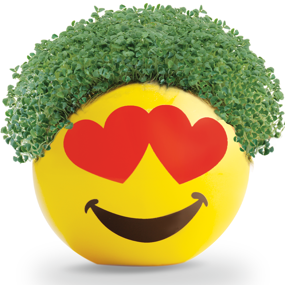 Emoji Heart Eyes Chia Pet