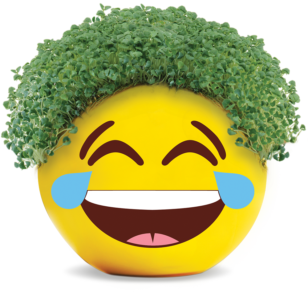 Emoji Tears of Joy Chia Pet
