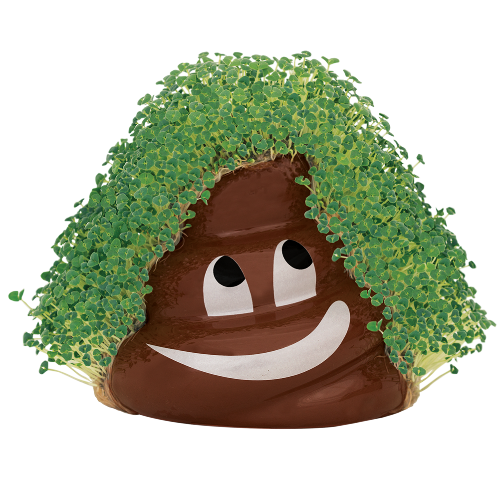 Emoji Poopy Chia Pet