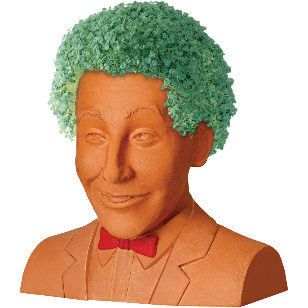 Pee-Wee Herman Chia Pet