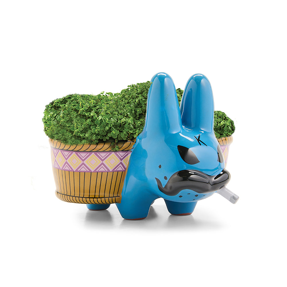 Chia Pet Smorkin' Labbit - Smokin' Cool Blue Edition (Limited Edition of 800)