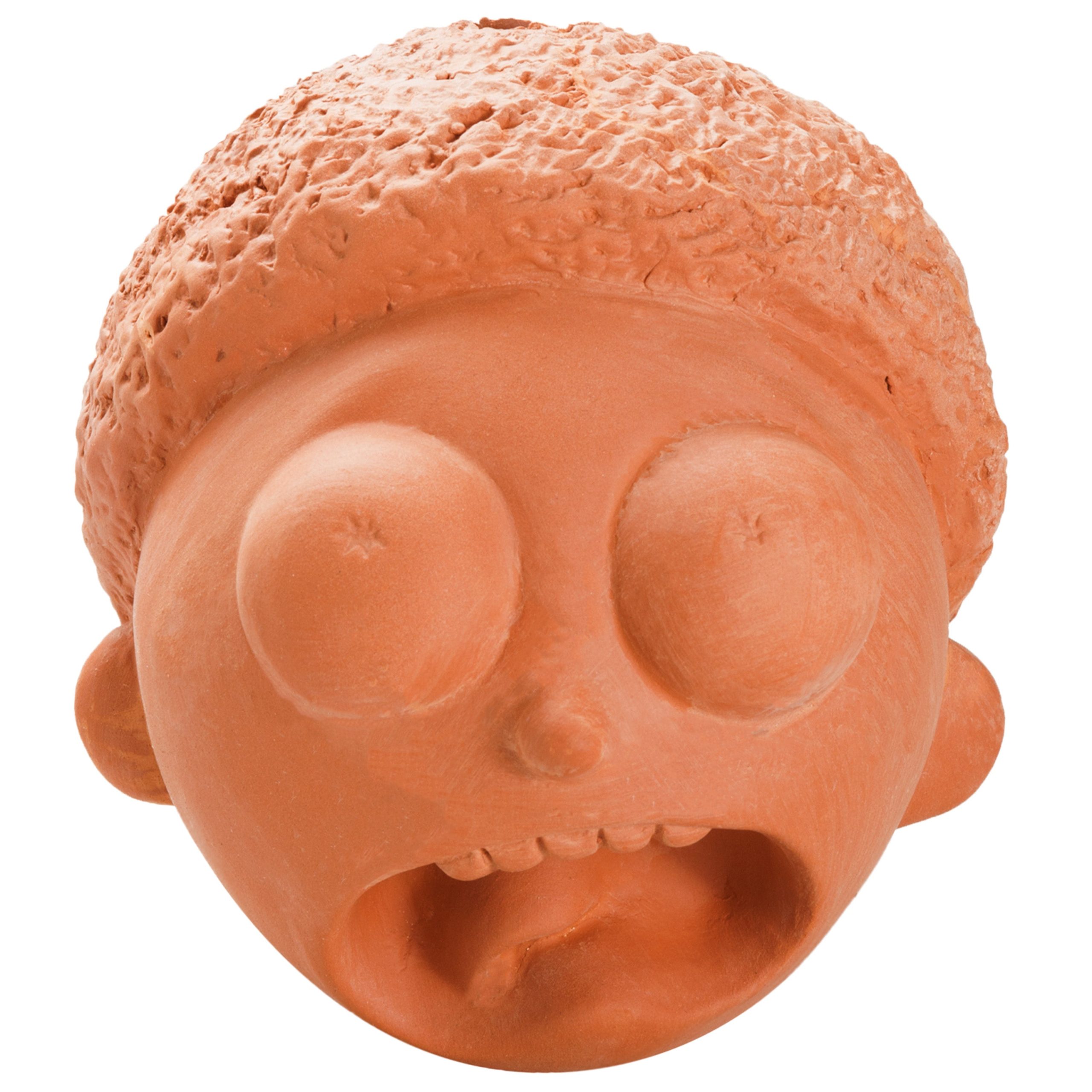 Rick and Morty Chia Pet Morty - Image 4