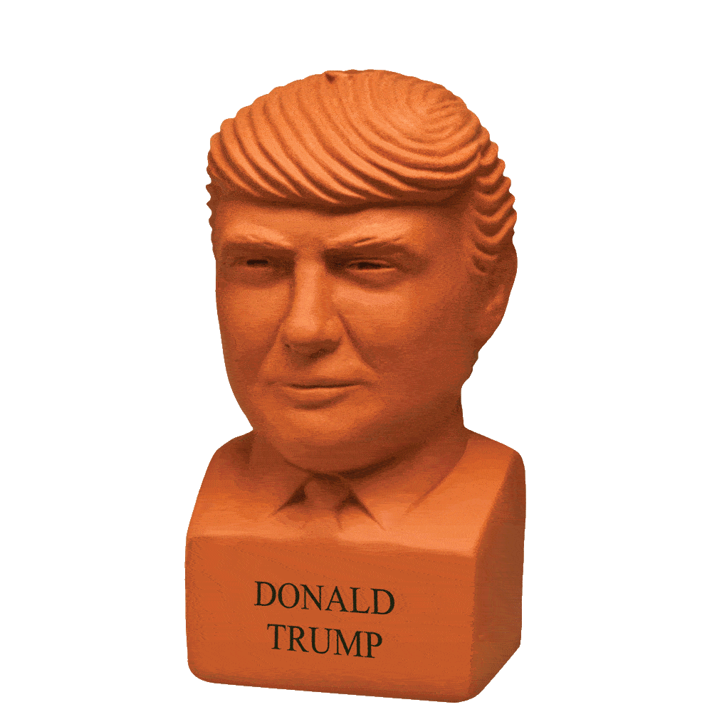 Alternative view of Donald Trump Chia Pet