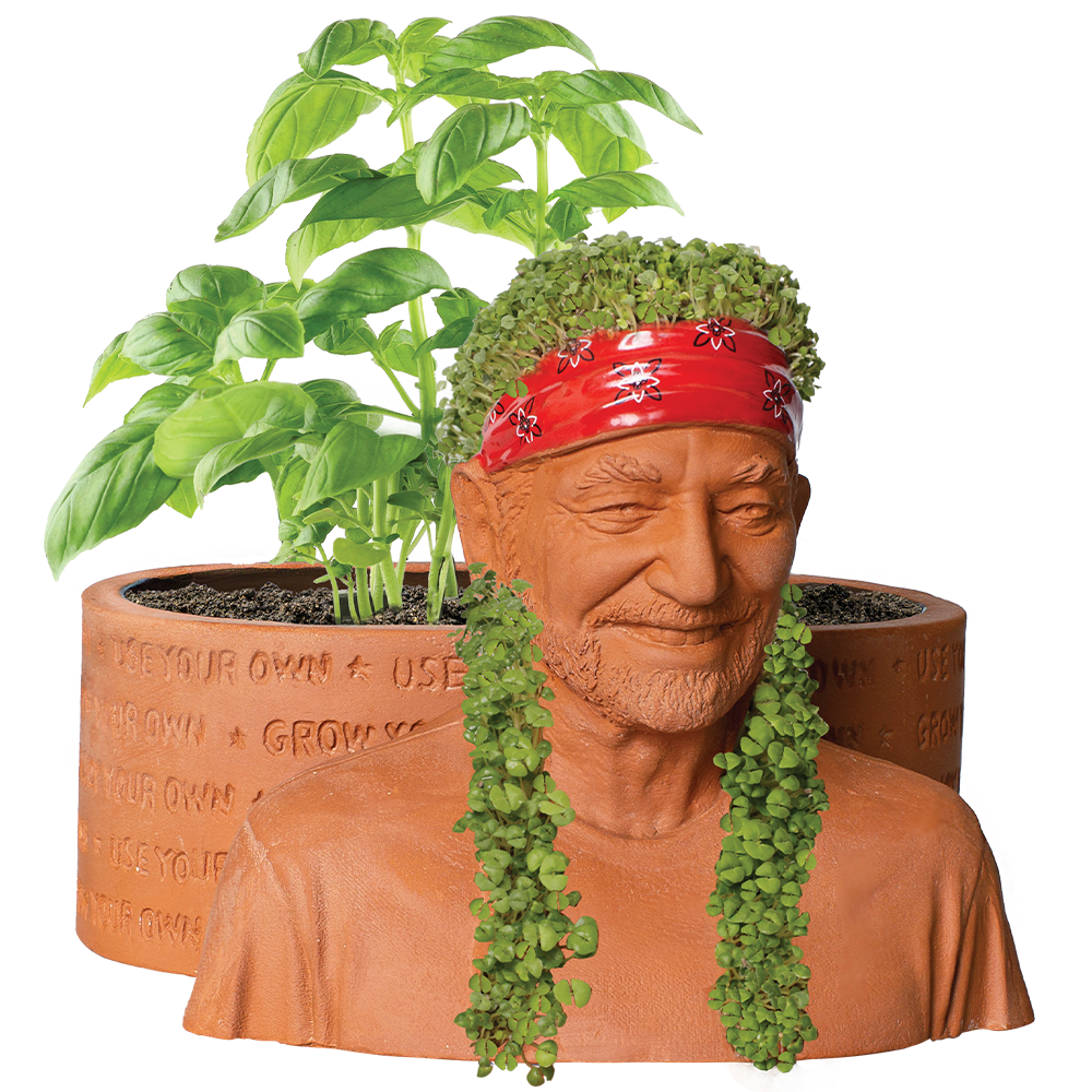 Willie Nelson Chia Pet Herb Planter - Image 2