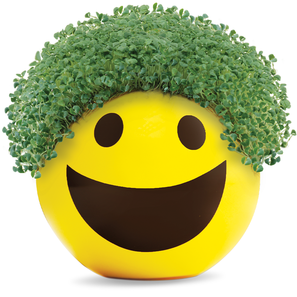 Emoji Smiley Chia Pet