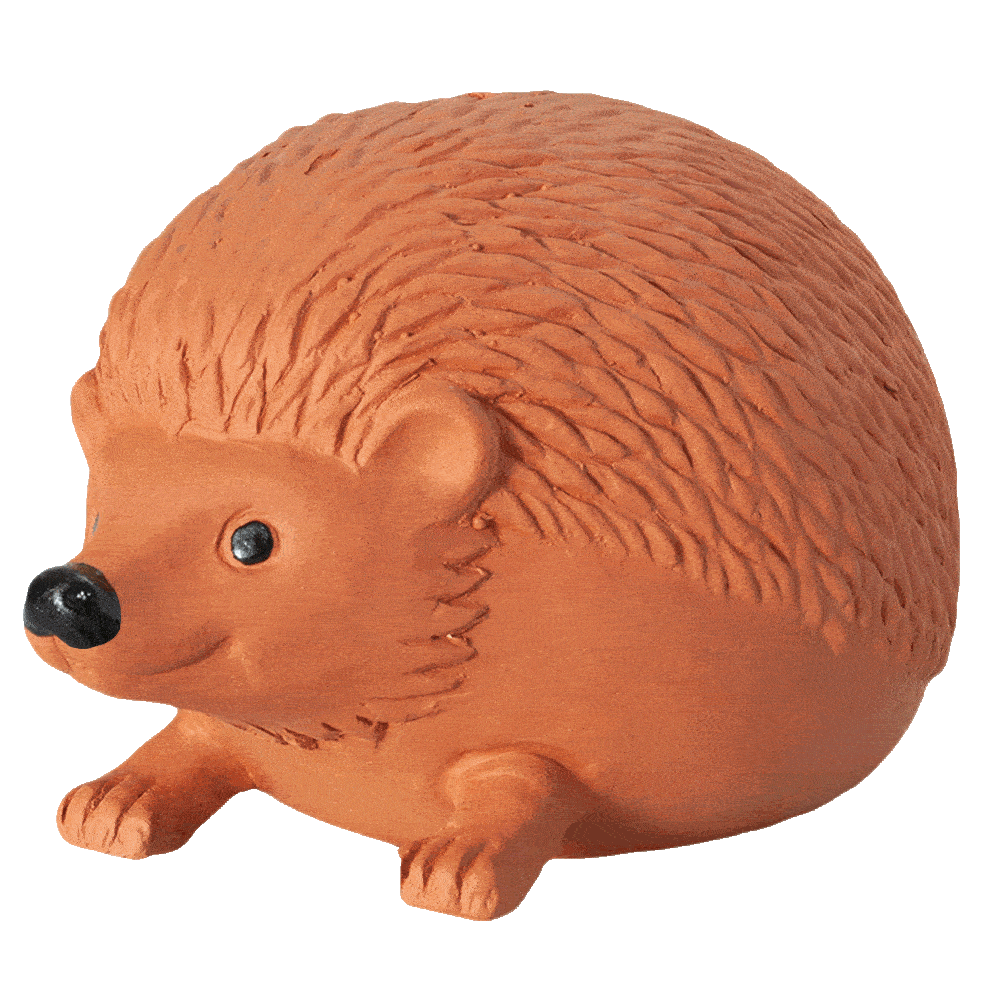 Alternative view of Classic Hedgehog Chia Pet