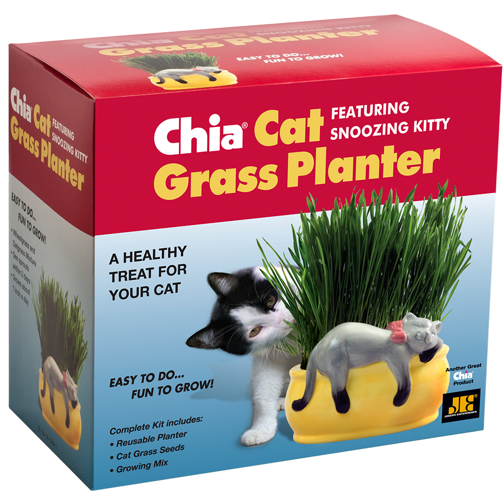 Snoozing Kitty Chia Cat Grass Planter - Image 5